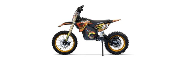 E-Dirt Bike