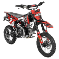 Dirt Bike 125cm³ 14/12 Zoll HECHT 51125