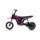 KIDS DIRTBIKE 350W 24V/10Ah