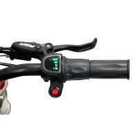 Tiger Dirt Bike 1300 Watt 48Volt 14/12 Zoll Lithium