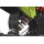Tiger Dirt Bike 1300 Watt 48Volt 14/12 Zoll Lithium