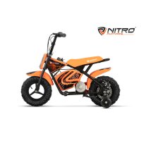 Eco Flee 300W 24V Mini Dirt Bike