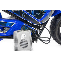 Eco Flee 300W 24V Mini Dirt Bike