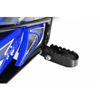 Eco Flee 300W 24V Mini Dirt Bike