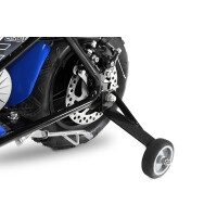 Eco Flee 300W 24V Mini Dirt Bike