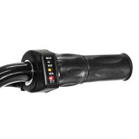 Eco Flee 300W 24V Mini Dirt Bike