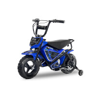 Eco Flee 300W 24V Mini Dirt Bike