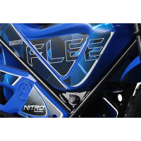 Eco Flee 300W 24V Mini Dirt Bike