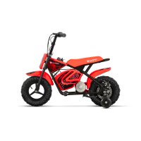 Eco Flee 300W 24V Mini Dirt Bike