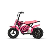 Eco Flee 300W 24V Mini Dirt Bike