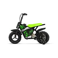 Eco Flee 300W 24V Mini Dirt Bike