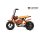 Eco Flee 300W 24V Mini Dirt Bike