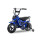 Eco Flee 300W 24V Mini Dirt Bike