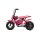 Eco Flee 300W 24V Mini Dirt Bike